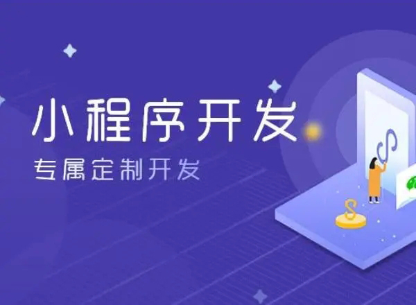 黔东小程序开发：全球有多少区块链开发者？